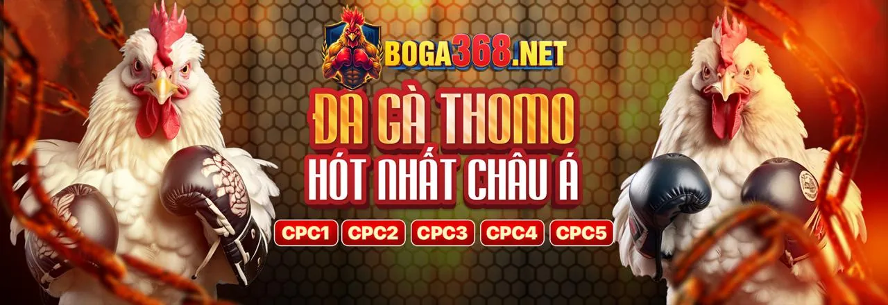 Thủ thuật cá cược chuyên nghiệp tại bongda 88