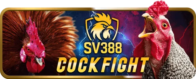 Dịch vụ hỗ trợ khách hàng chuyên nghiệp của bongda 88