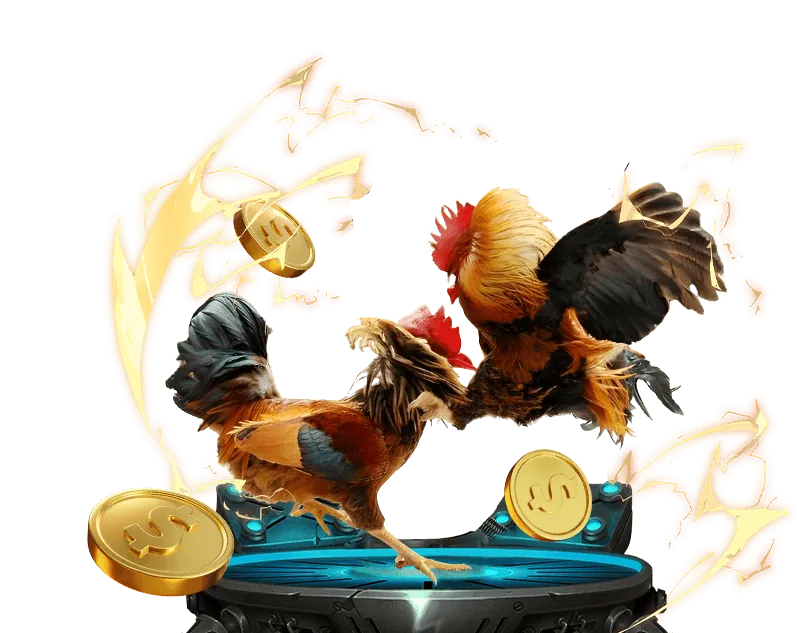 Hướng dẫn chọn nhà cái mới uy tín